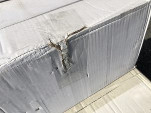 アウトレット　C-351　ケース破損個所(修正済み)