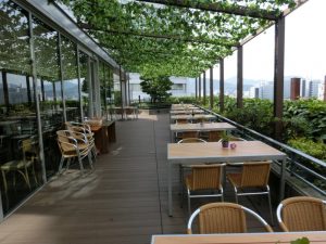 店舗ﾃﾞｯｷ P205色(標準色)