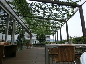 店舗ﾃﾞｯｷ P205色(標準色)
